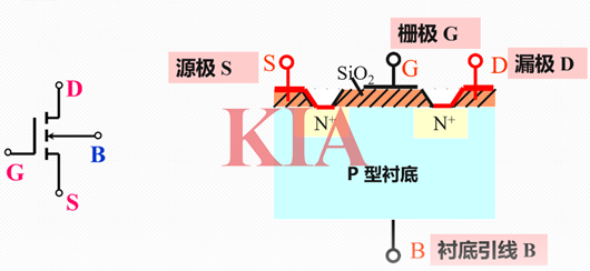 絕緣柵型,結型場效應管